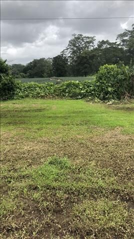 VENTA DE LOTE CON USO DE SUELO MIXTO,  HEREDIA, SARAPIQUÍ, HORQUETAS en Las Horquetas, Sarapiquí, Heredia — ₡ 32 000 000