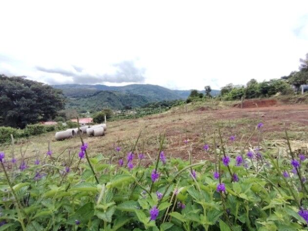 Lotes en Dota, Zona de Los Santos in Santa María, Dota, San José — ₡ 35 490 000