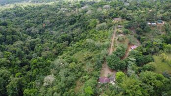 Se vende propiedad en San Isidro de Peñas Blancas, San Ramón en San Isidro, San Ramón, Alajuela — 129 200 000 ₡ - Foto 4 de 7