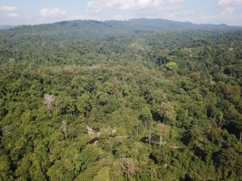 Venta Eco-Lodge 76 ha con marca, catarata y potencial turístico #26-1303 GS en Bahía Drake, Osa, Puntarenas — $4,000,000 - Foto 4 de 6