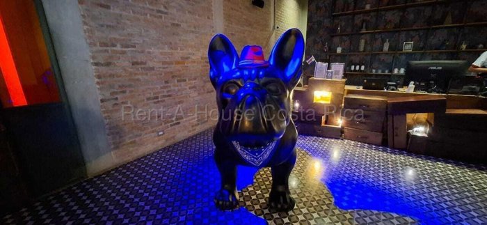 Alquiler de Apartamento AMUEBLADO  en Urban Escalante. RAH 27-689 PISO 8 en Carmen, San José — $1,200
