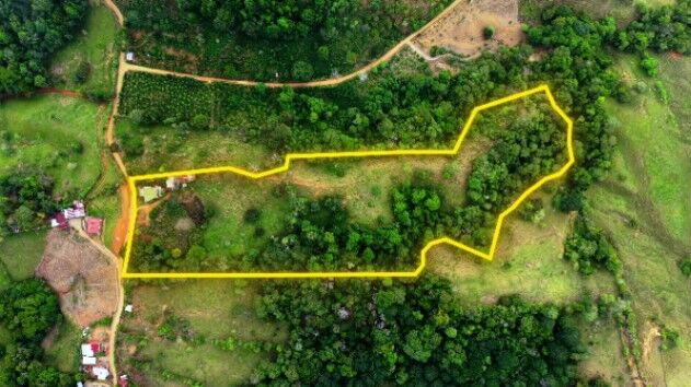 VENTA DE FINCA DE 4.9 HA EN ALTO ESPERANZAS, PEREZ ZELEDON: PRIVACIDAD Y ARBOLES FRUTALES in San Pedro, Pérez Zeledón, San José — $199,900