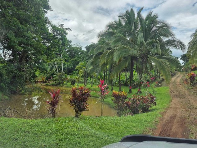Venta de finca productiva de 77 hectáreas con lagunas y viviendas #26-834 GS in Río Cuarto, Alajuela — $2,135,000
