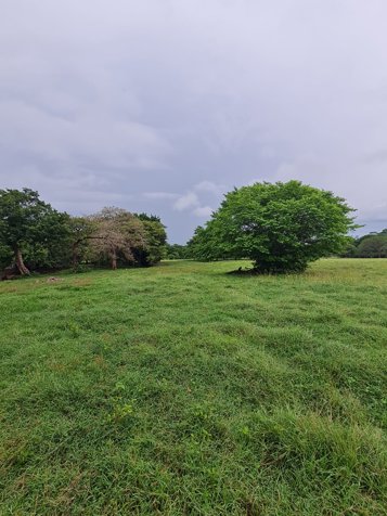VENTA DE FINCA, GUANACASTE, BAGACES in Bagaces, Guanacaste — $5,000,000