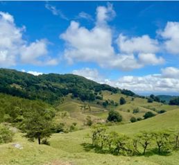 VENTA - Finca de 17 Hectáreas -  CARTAGO- PRECIO NEGOCIABLE en Patio De Agua, El Guarco, Cartago — 262 500 000 ₡ - Foto 2 de 36