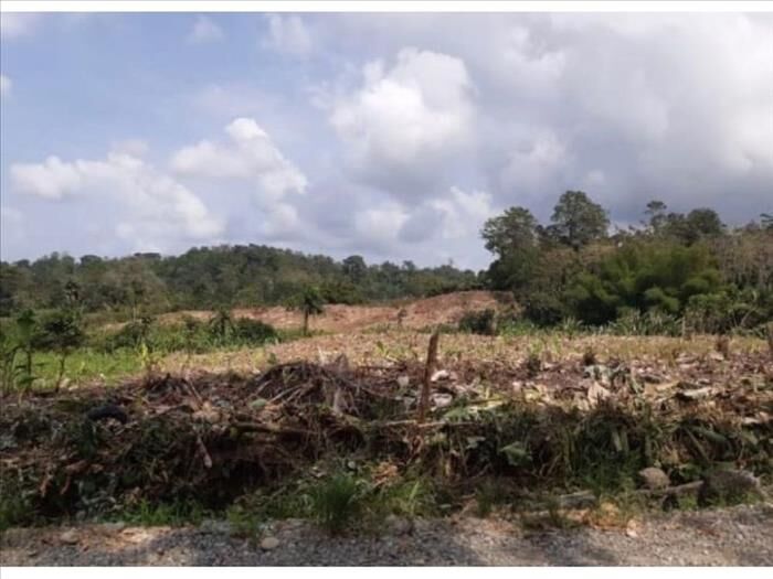 VENTA DE FINCA, LIMÓN, MOIN, LOMA LINDA in Limón — $500,000
