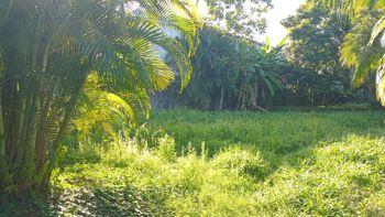 Lote en jaco centro en Jacó, Garabito, Puntarenas — $320,000 - Foto 4 de 9