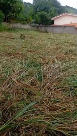 SE VENDE BELLA PROPIEDAD EN VAINILLA DE ATENAS.  en San José, Alajuela — ₡ 35 000 000