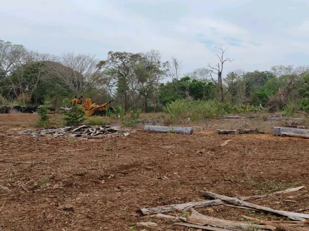 Terreno de 14 hectáreas en la Ceiba de Orotina in La Ceiba, Orotina, Alajuela — ₡ 1 410 000 000 - Photo 3 of 24
