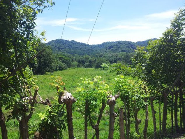 Bella finca 3.6 Ha con vocacion Turistica en Cobano en Cóbano, Puntarenas — $180,000