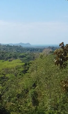 FINCA DE MONTAÑA EN PARRITA QUEPOS in Quepos, Puntarenas — $250,000 - Photo 2 of 19