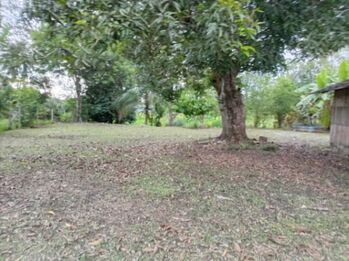 LOTE EN VENTA CON ACCESO A RIO SIERPE POR AUTOMOVIL O BOTE en Sierpe, Osa, Puntarenas — $80,000 - Foto 5 de 6