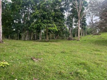 SE VENDE ESPECTACULAR FINCA EN GUATUSO DE ALAJUELA.  en Katira, Guatuso, Alajuela — $350,000 - Foto 5 de 9