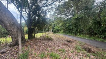 Parcela de 1.000m2 con arboles frutales ideal para futura vivienda. en Atenas, Alajuela — $90,000 - Foto 4 de 11