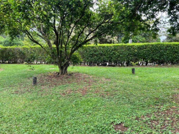 URGE VENDER. SE FINANCIA en Jesús María, San Mateo, Alajuela — ₡ 44 900 000