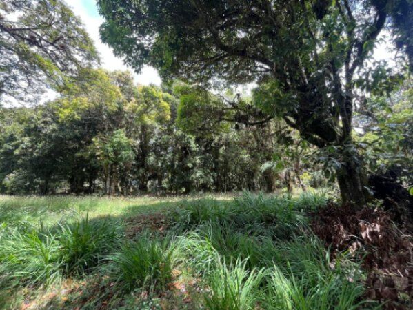 Venta de Lote en Dota, San José. RAH 25-1964 in Jardín, Dota, San José — ₡ 16 500 000