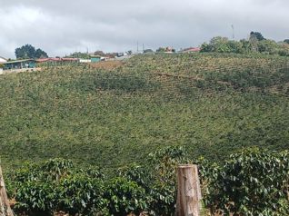 Lote en Venta, Uso Residencial, Clima de Montaña, 5PJG10035484 in San Jerónimo, Moravia, San José — $2,790,360 - Photo 4 of 25