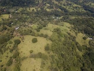 Venta de Terreno 40 hectáreas Santiago Puriscal en Santiago, Puriscal, San José — $1,800,000 - Foto 5 de 17
