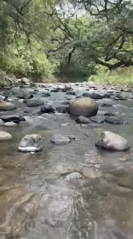 Hermosa propiedad en San Ramón con 5 pozas naturales en Jacó, Garabito, Puntarenas — ₡ 125 000 000 - Foto 3 de 4