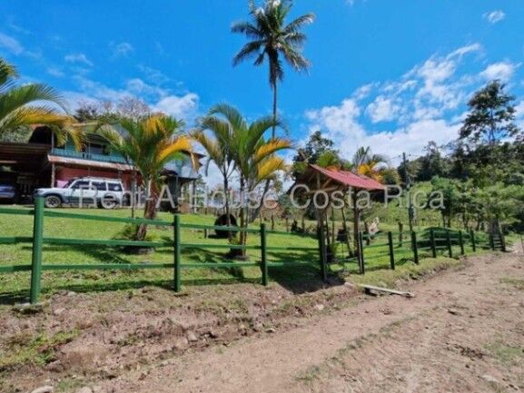 MLS-26-1444 LS VENTA FINCA MURCIA TURRIALBA CONTACTENOS AL # 86127562 en Turrialba, Cartago — ₡ 700 000 000