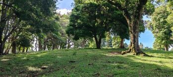 Venta de Amplio Lote en San José de la Montaña, Heredia. RAH 26-682  en San José de La Montaña, Barva, Heredia — $950,000 - Foto 5 de 17