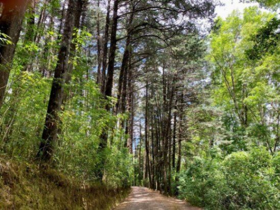 Se vende amplia finca de 14.9 hectáreas en Santa bárbara Heredia 25-1839 in Santo Domingo, Santa Bárbara, Heredia — $2,200,000
