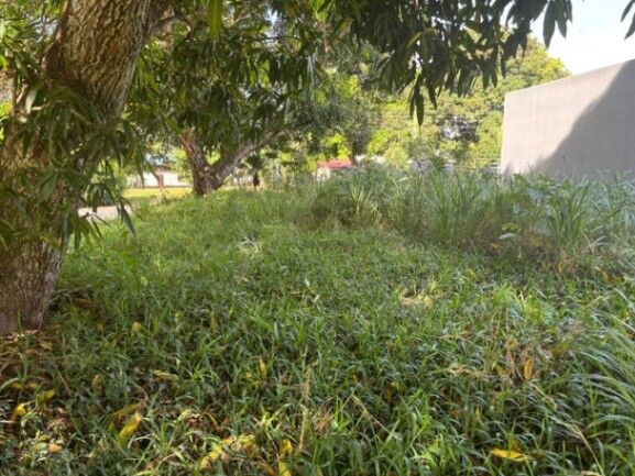 MLS-25-1207 LS VENTA LOTE OROTINA ALAJUELA en Orotina, Alajuela — ₡ 36 000 000