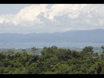 Land For Sale Miramar, Montes De Oro, Puntarenas