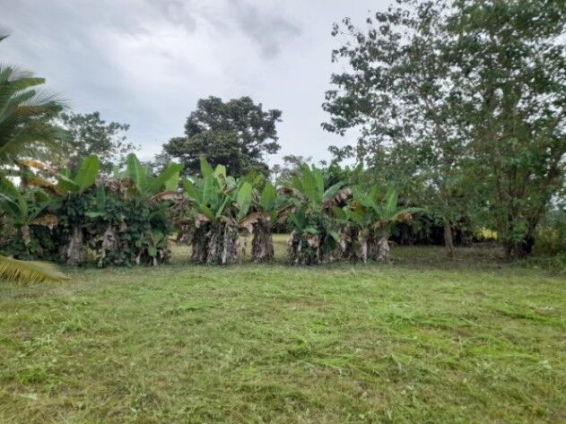 VENTA DE LOTE en Parrita, Puntarenas — ₡ 12 000 000
