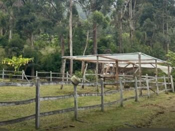 Venta de Finca con Hermosa Casa Campestre en Copey de Dota. RAH 26-74 PRECIO REBAJADO in Copey, Dota, San José — 125 000 000 ₡ - Photo 4 of 6