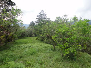 Finca en Lourdes, Cartago. 15 ha con gran potencial en Aguacaliente, Cartago — 105 000 000 ₡ - Foto 4 de 9