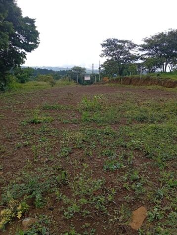 VENTA DE LOTE SAN RAFAEL DE GRECIA  in Grecia, Alajuela — ₡ 50 000 000 - Photo 2 of 2