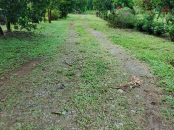 Venta lote en Volcán de Buenos Aires, Puntarenas. RAH 25-1929 en Volcán, Buenos Aires, Puntarenas — 26 000 000 ₡ - Foto 5 de 18