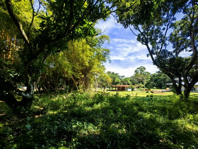 EN VENTA Lote en Condominio Hacienda Los Ceibos Orotina en La Ceiba, Orotina, Alajuela — $168,660 - Foto 2 de 30