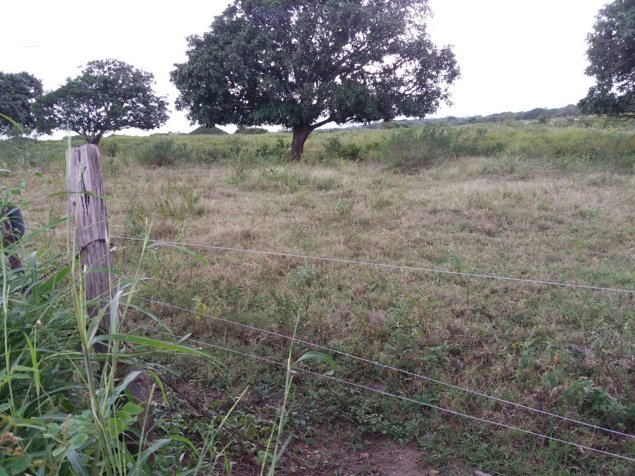 Finca 130 Ha a 30 Minutos del Aeropuerto Liberia en Liberia, Guanacaste — $1,550,000 - Foto 2 de 5
