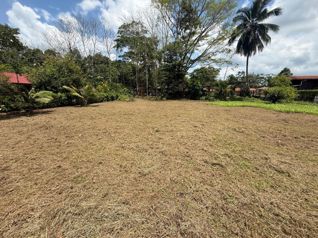Venta de terreno en San Ramón de Alajuela en San Lorenzo, San Ramón, Alajuela — 35 000 000 ₡ - Foto 5 de 7