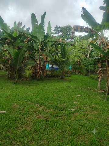 VENTA - Finca de 2.1 Ha con 2 Casas - La Naranjeña- Guatuso - EN SERVIDUMBRE in Katira, Guatuso, Alajuela — ₡ 65 000 000