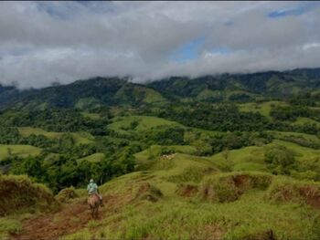 Farm For Sale San Vito, Coto Brus, Puntarenas