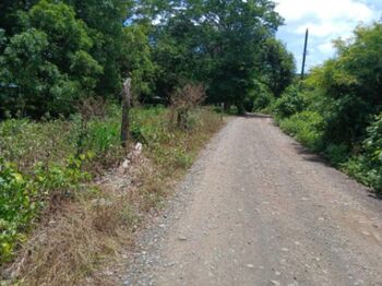 Venta de Lote en Sardinal de Carrillo, Guanacaste. RAH 26-48 in Sardinal, Carrillo, Guanacaste — 37 000 000 ₡ - Photo 5 of 6