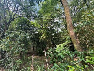 REBAJA !!!! HERMOSO LOTE EN SAN ANTONIO DE ESCAZU $250,000 in San Antonio, Escazú, San José — $250,000 - Photo 5 of 19