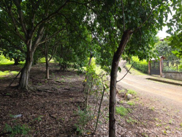 Venta de 2 lotes: Refugio de paz cerca del mar – Garabito, Lagunillas in Tárcoles, Garabito, Puntarenas — ₡ 18 900 000