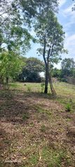  Lote en Venta – Orotina, Alajuela-2000 m2 in Coyolar, Orotina, Alajuela — 43 000 000 ₡ - Photo 5 of 5