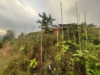 Venta de Lote en San Cristóbal Norte de Desamparados, San José. RAH 26-1004 PRECIO REBAJADO en San Cristóbal, Desamparados, San José — 15 000 000 ₡ - Foto 5 de 6