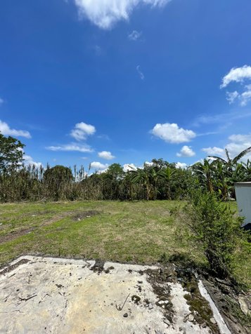 VENTA DE FINCA PARA DESARROLLO RESIDENCIAL, ALAJUELA, CANOAS en Alajuela — $1,197,850