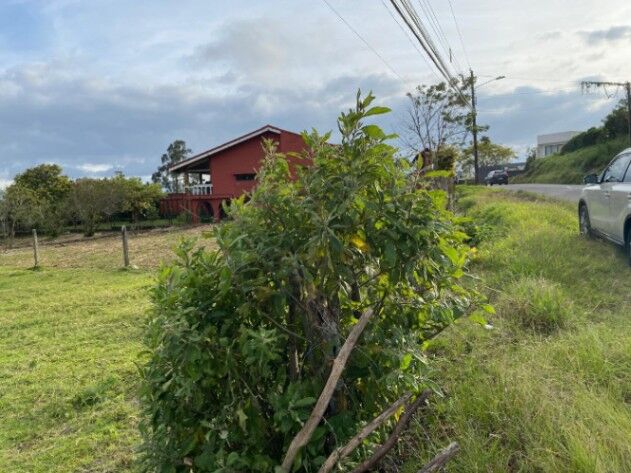 SE VENDE LOTE EN SAN ISIDRO HEREDIA  en San Isidro, Heredia — ₡ 85 000 000