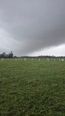 Quintas de 5,000m2 a 20 minutos de La Fortuna | 8751-4191 en La Fortuna, San Carlos, Alajuela — 40 000 000 ₡ - Foto 4 de 5