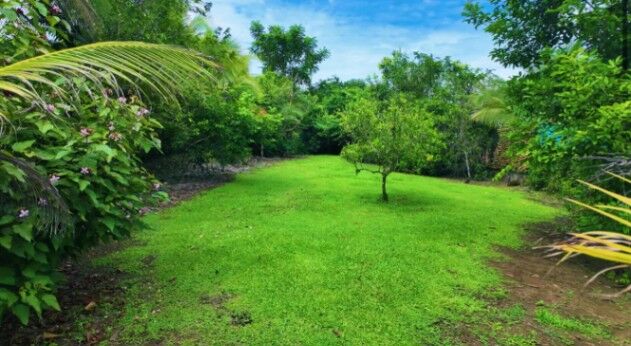 SE VENDE BELLA PROPIEDAD CIENTO POR CIENTO FINANCIADA.  en La Fortuna, San Carlos, Alajuela — ₡ 18 060 000