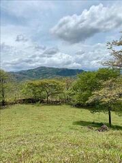 Farm For Sale Escobal, Atenas, Alajuela