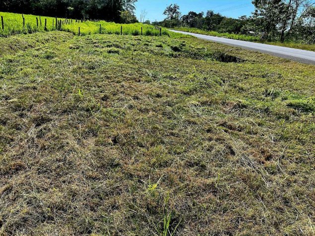 Terreno en Venta en Mata Palo, Quepos en Quepos, Puntarenas — $550,000