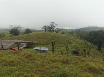 SE VENDE PRECIOSA FINCA ENTRE FORTUNA Y ARENAL.  en La Fortuna, San Carlos, Alajuela — 250 000 000 ₡ - Foto 4 de 10